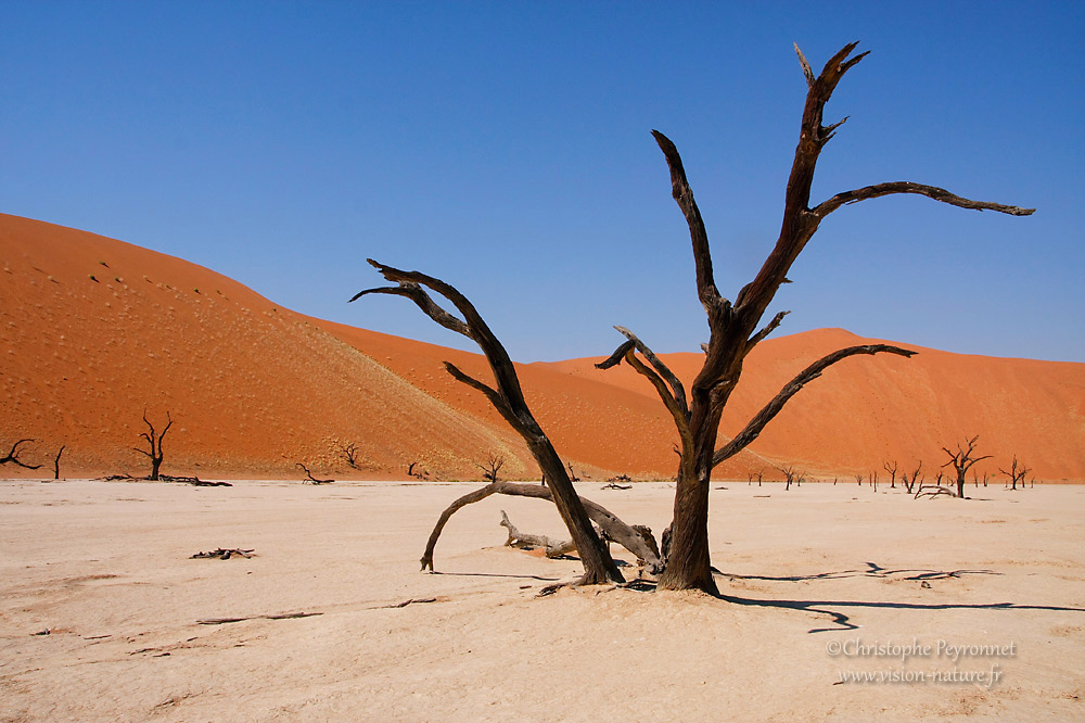 Namibie <br/> Le désert du Namib