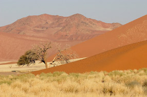 Dunes de Sossusvlei