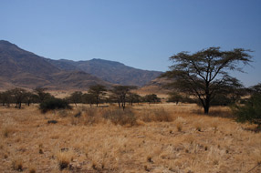 Desert du Namib - Namibie