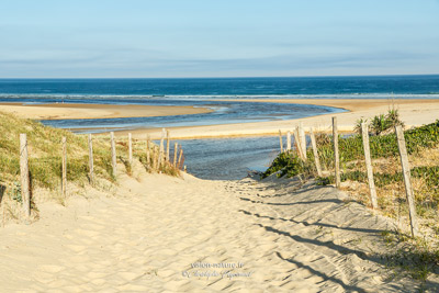 Des dunes à l océan - plages des Landes dans le sud-ouest