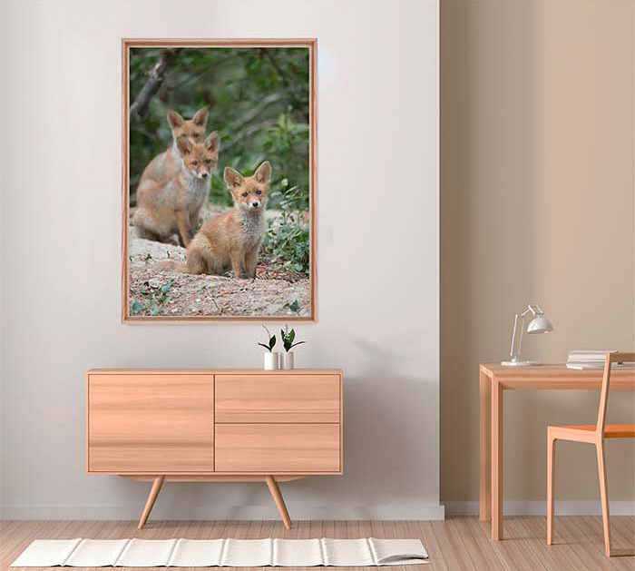 Exemple de réalisations de mes tableaux en décoration murale