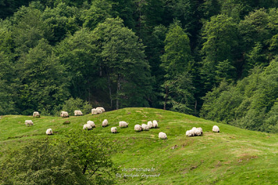 Ambiance autour du Massif d'Irati, Pays Basque