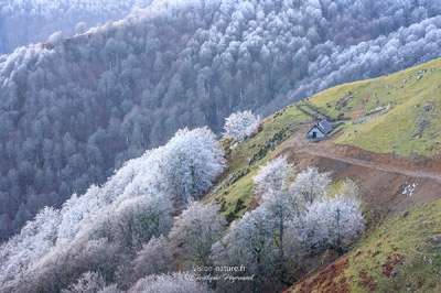 Ambiance autour du Massif d'Irati, Pays Basque