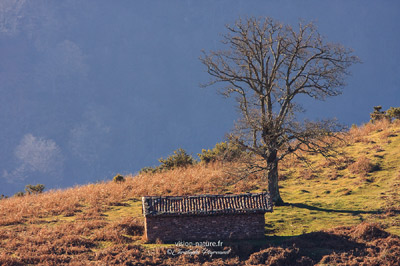 Paysages de l'arrière pays Basque