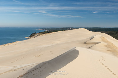 La dune du Pyla - Bassin d'Arcachon