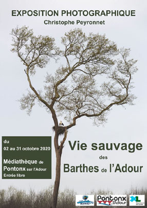 Exposition -vie sauvage des Barthes de l'Adour-