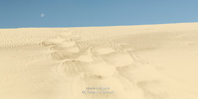 Les Landes et ses dunes