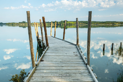 lac d'Arjuzanx