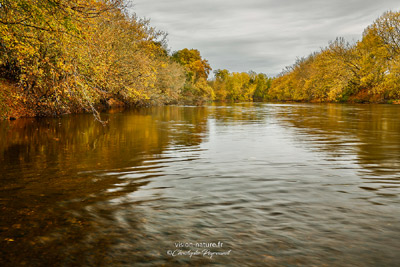 Le fleuve Adour à l'automne