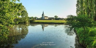 L'église de Préchacq-les-Bains
