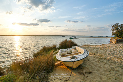 Bassin d Arcachon