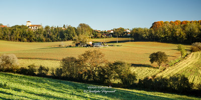 Cliquer pour agrandir la photo Paysage de Chalosse avec l'eglise de Montfort en Chalosse