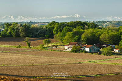 Cliquer pour agrandir la photo Vue sur les Pyrénées depuis la Chalosse - Landes