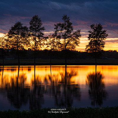 Cliquer pour agrandir la photo Lac de Tastoa en Chalosse