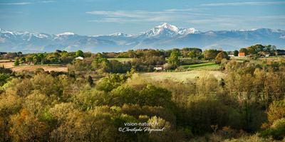 Cliquer pour agrandir la photo Le pic d'Orhy depuis la Chalosse