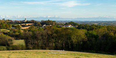 Cliquer pour agrandir la photo Vue sur le village de Donzacq, en Chalosse