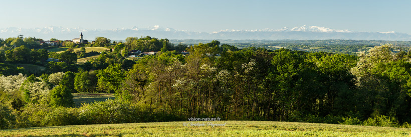 Cliquer pour agrandir la photo Paysages de Chalosse avec les Pyrénées