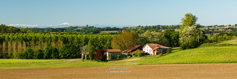 Cliquer pour agrandir la photo Paysages de Chalosse avec le pic d'Orhy