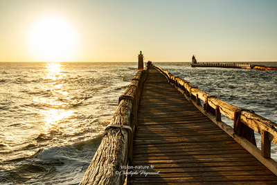 Cliquer pour agrandir la photo Estacade de capbreton