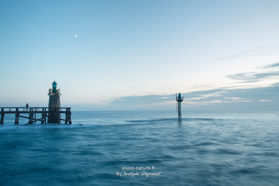 Cliquer pour agrandir la photo Estacade de capbreton