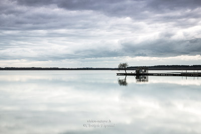 Cliquer pour agrandir la photo Ponton sur le lac d'Azur - Soustons
