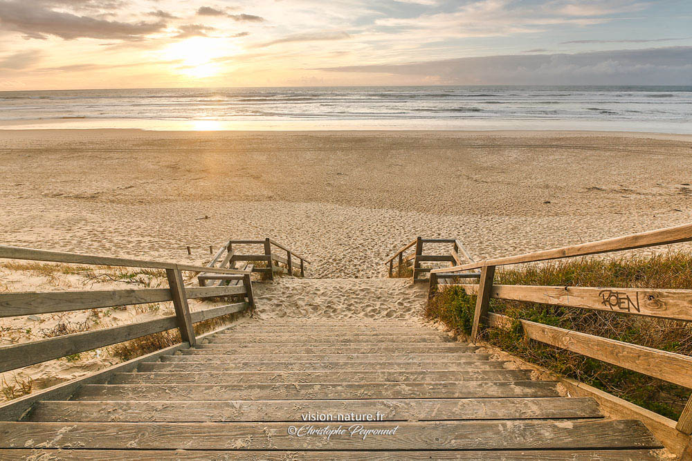 Paysages de la cote : plages, dunes et ocean
