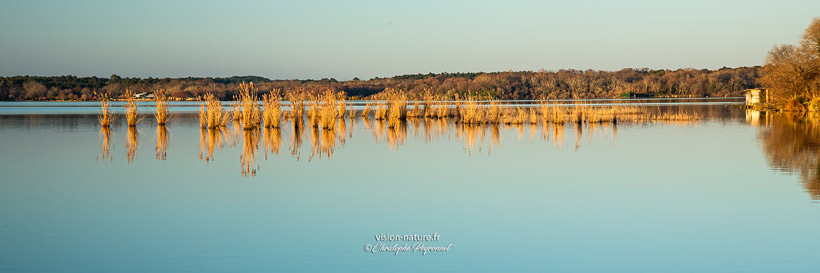 Cliquer pour agrandir la photo Lac de Soustons