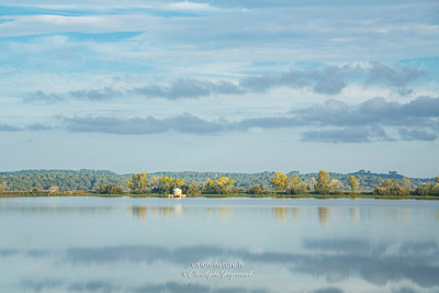 Cliquer pour agrandir la photo Le marais d'Orx