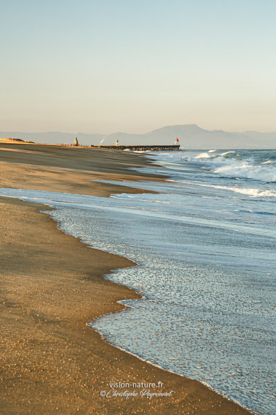 Cliquer pour agrandir la photo Plage de Hossegor