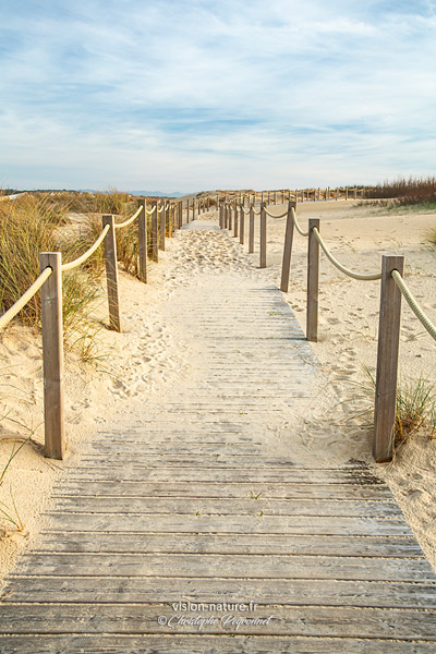 Cliquer pour agrandir la photo Plage de Seignosse