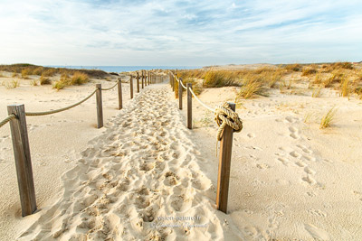 Cliquer pour agrandir la photo Plage de Seignosse