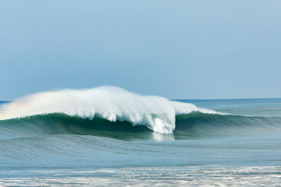 Cliquer pour agrandir la photo La vague, la Nord à Hossegor