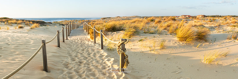 Cliquer pour agrandir la photo Plage de Seignosse