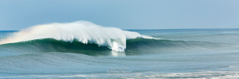 Cliquer pour agrandir la photo La vague, la Nord à Hossegor