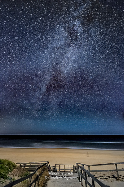 Cliquer pour agrandir la photo Nuit d'été sur une plage des Landes
