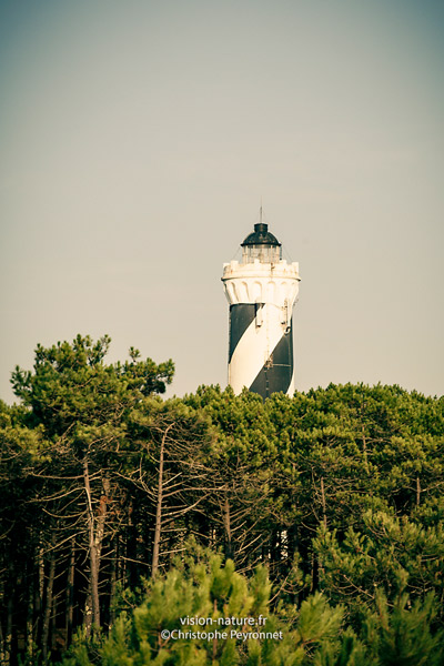 Cliquer pour agrandir la photo Phare de Contis
