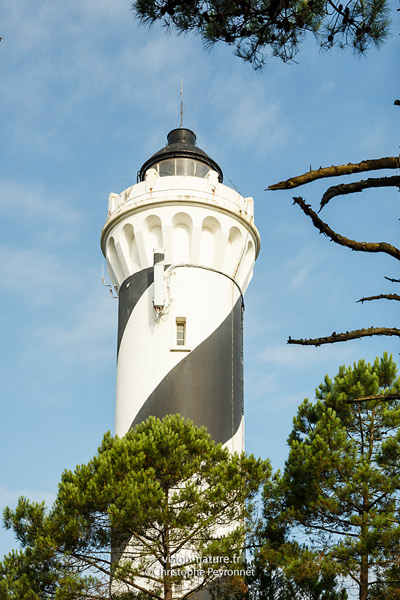 Cliquer pour agrandir la photo Phare de Contis