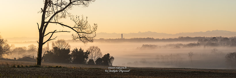 Cliquer pour agrandir la photo Vue sur la Chalosse