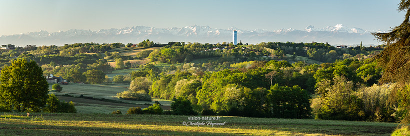 Paysages de Chalosse avec les Pyrénées