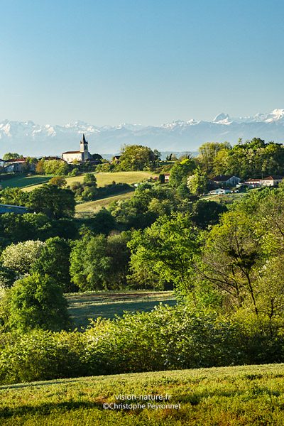Cliquer pour agrandir la photo Le village de Donzacq en Chalosse