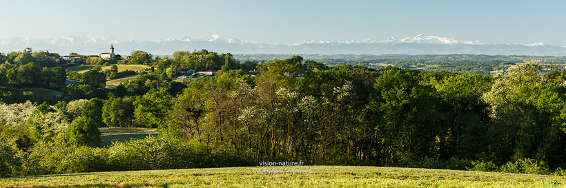 Cliquer pour agrandir la photo Paysages de Chalosse à Donzacq avec les Pyrénées