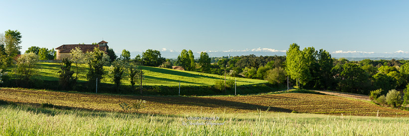 Cliquer pour agrandir la photo Eglise de Saint-laurent en Chalosse