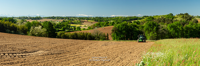 Cliquer pour agrandir la photo Paysage de Chalosse
