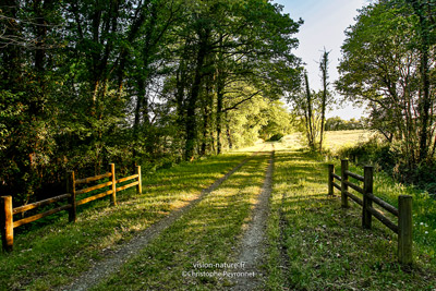 Cliquer pour agrandir la photo Paysage de Chalosse avec la voie verte