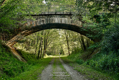 Paysage de Chalosse avec la voie verte