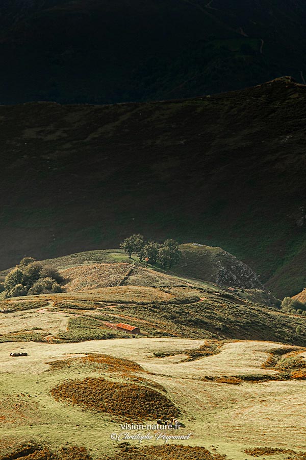Sur les hauteurs de l Artzamendi