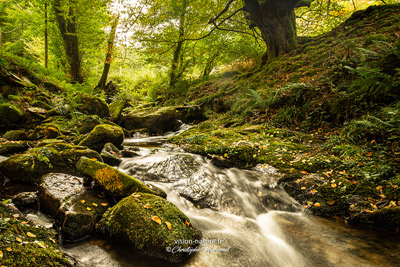 Ruisseau Pays Basque - Au pays des fées