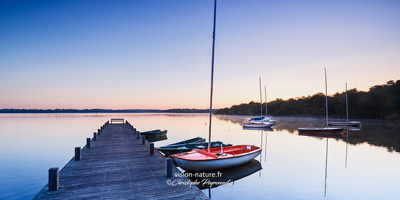 Lac de leon - Les Landes