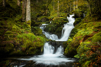 Les Pyrénées à l'automne