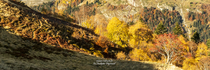 Vallée d'Ossau à l'automne